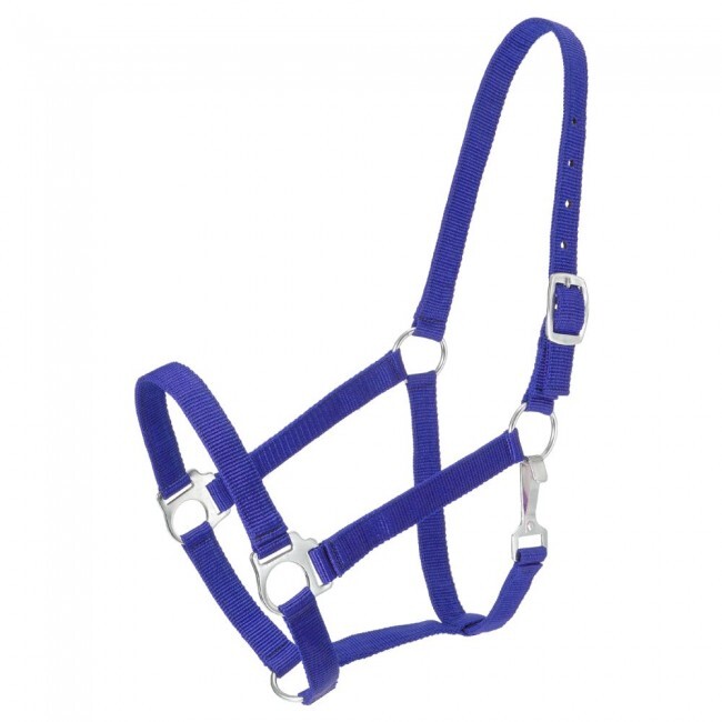 Tough 1 Royal Blue Nylon Horse Sized Economy Halter horse tack equine 50-1701