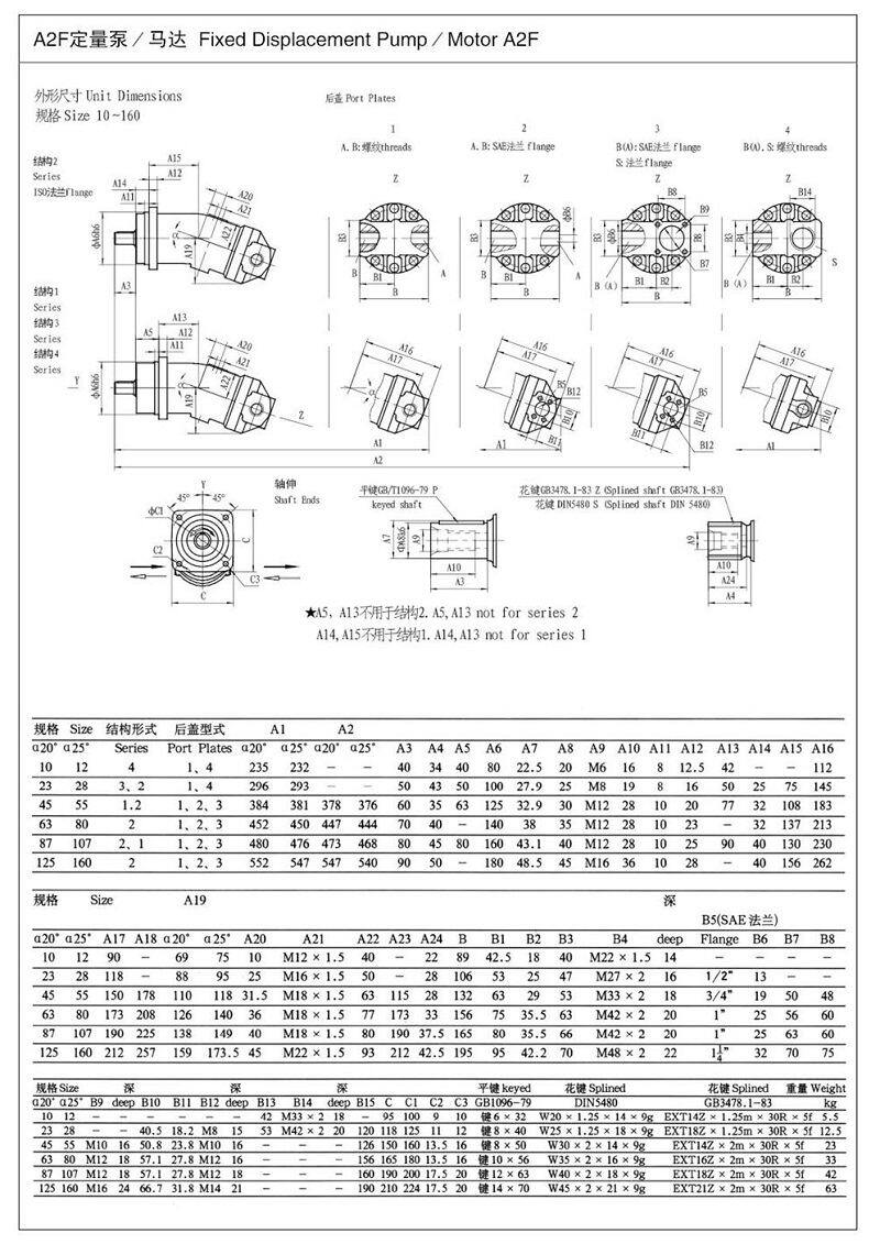 1Pcs New Inclined axis axial plug Fixed Displacement Pump/Motor A2F23W3P1