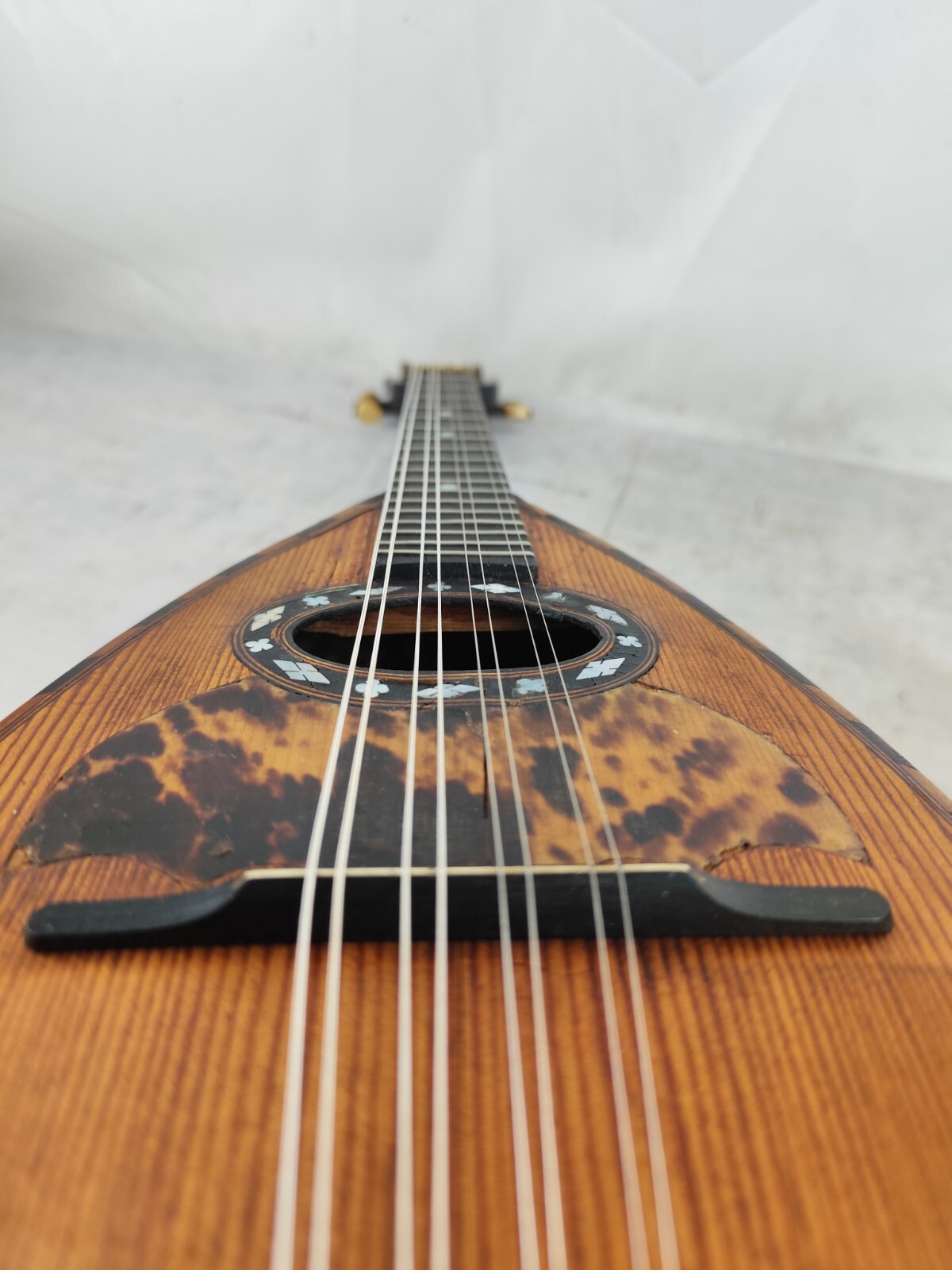 Leonardo Cocchi 1920 Milan 4/4 Mandolin 曼陀林 만돌린マンドリン