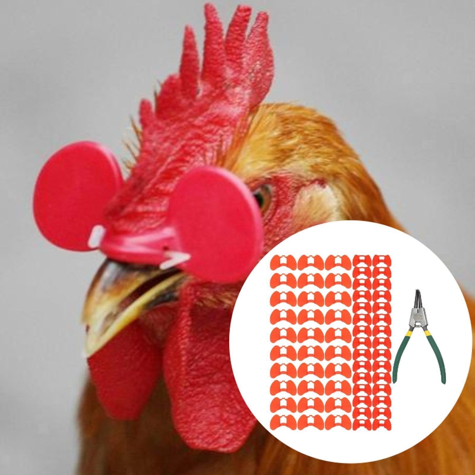 60x Pinless Peepers for Chickens Spectacles Pheasants Poultry Blinders