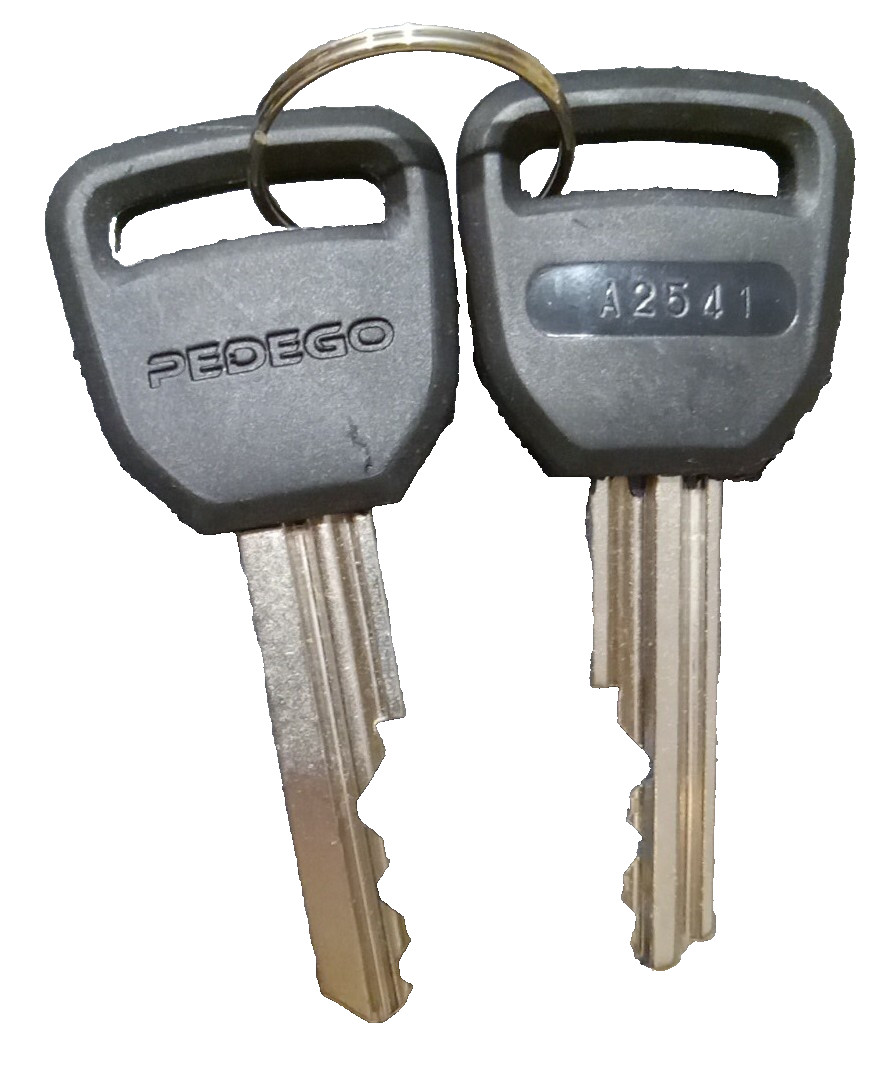 A2541 Pedego Replacement Keys Set of 2