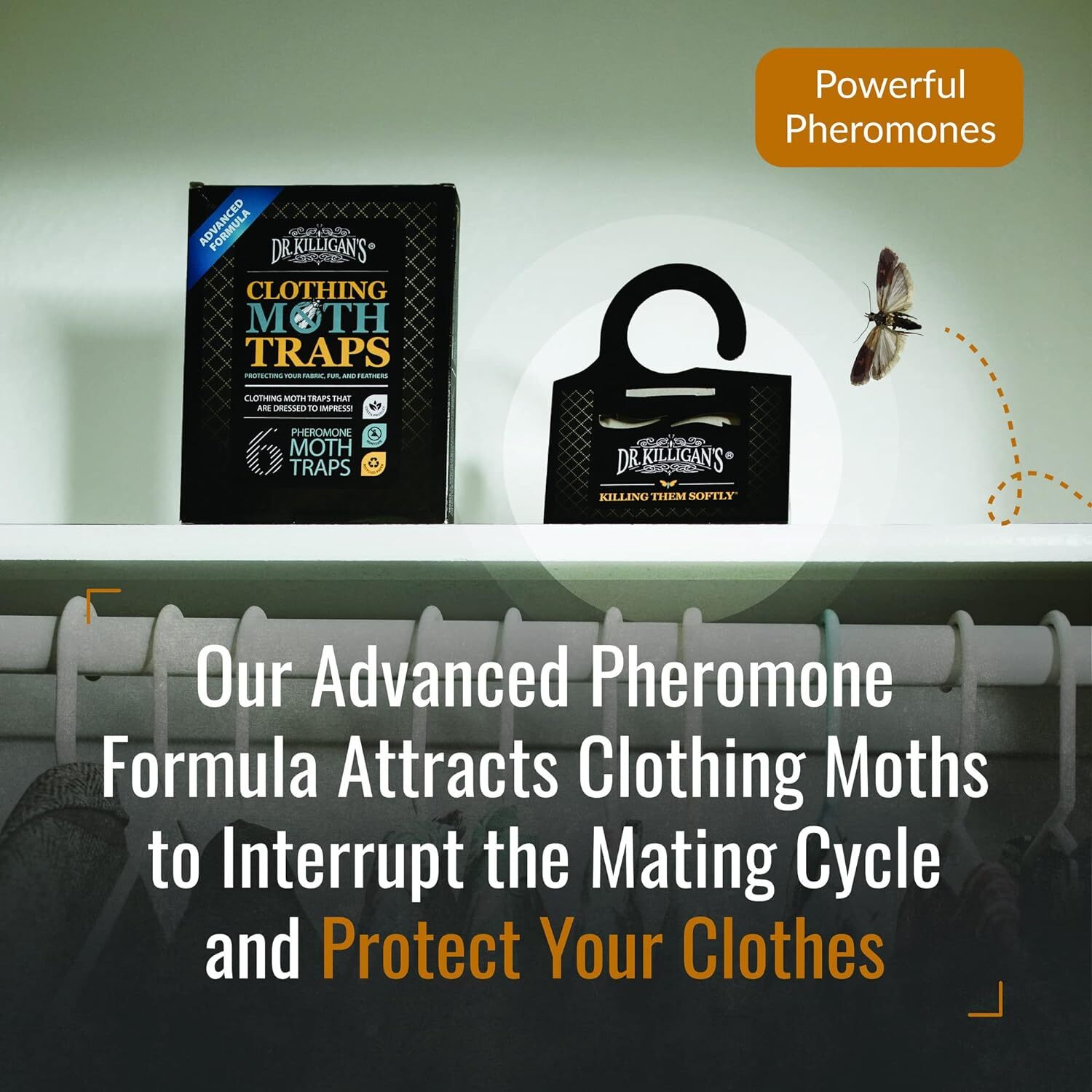 Dr Killigan's Moth Traps For Clothes Premium 6 Pack Effective Moth Control