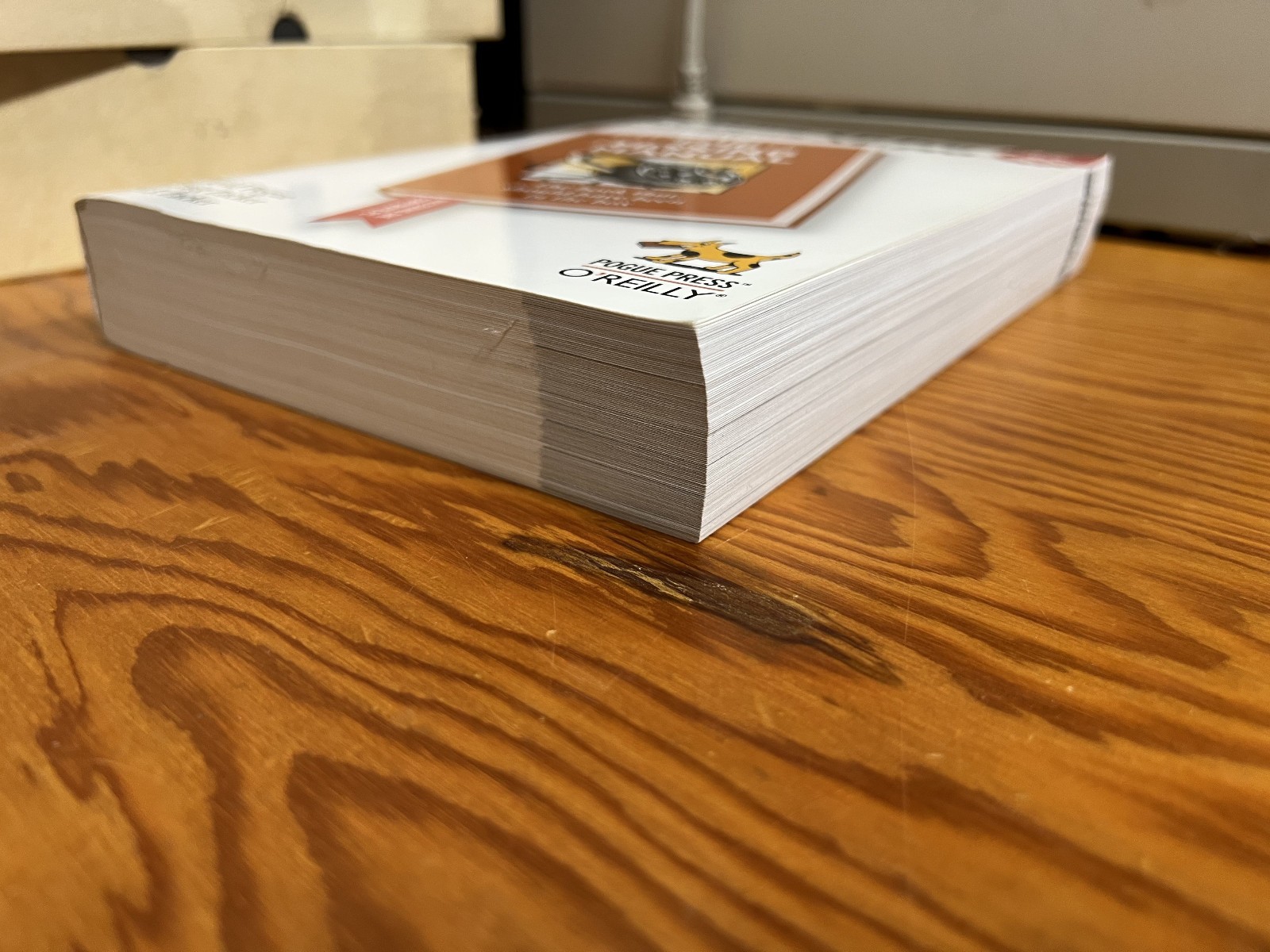 Windows XP Pro: The Missing Manual: The Missing Manual