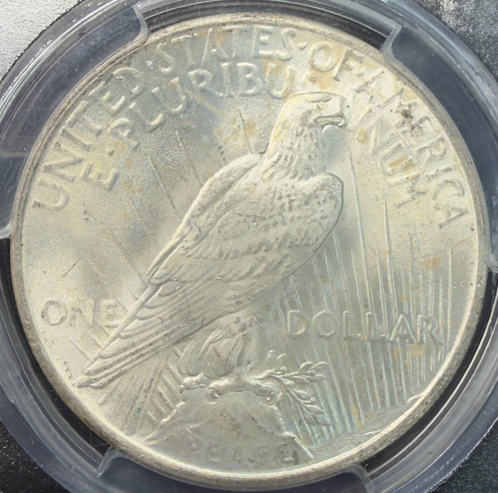 1925 P Peace Silver Dollar PCGS MS-64