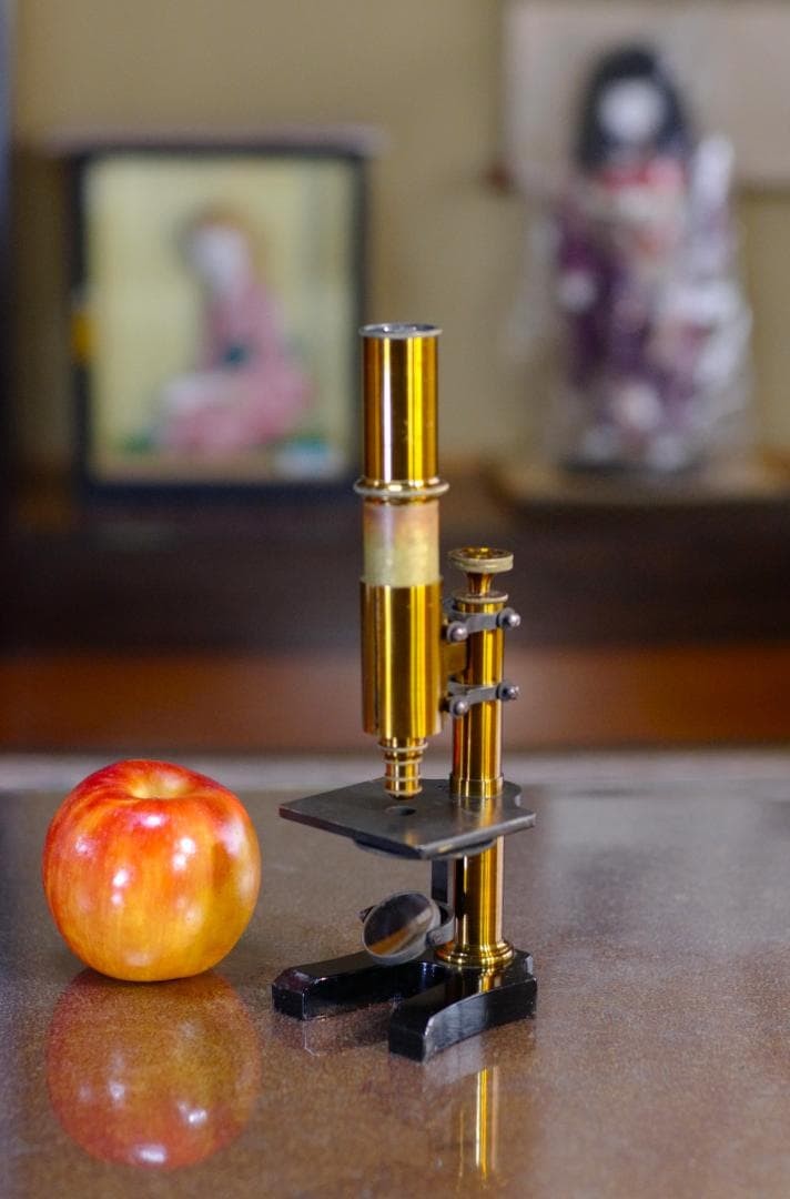 microscope antique collectible Ernst Leitz Stand V Microscope SN.1557 1873