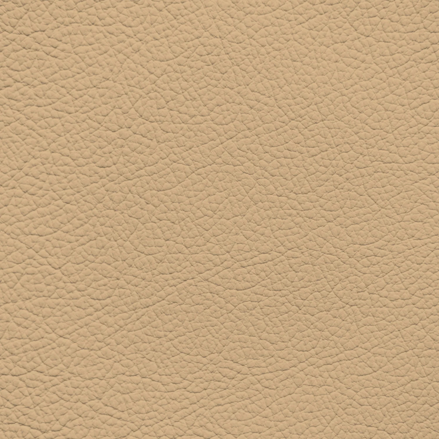 Audi Star Anise Leather Dye
