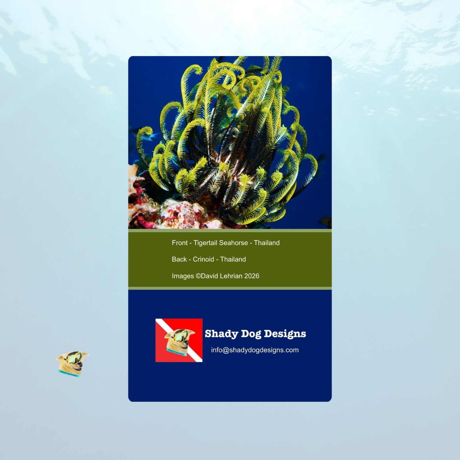 Yellow Tigertail Seahorse Photo Scuba Dive Log Book-Diving Journal/Logbook