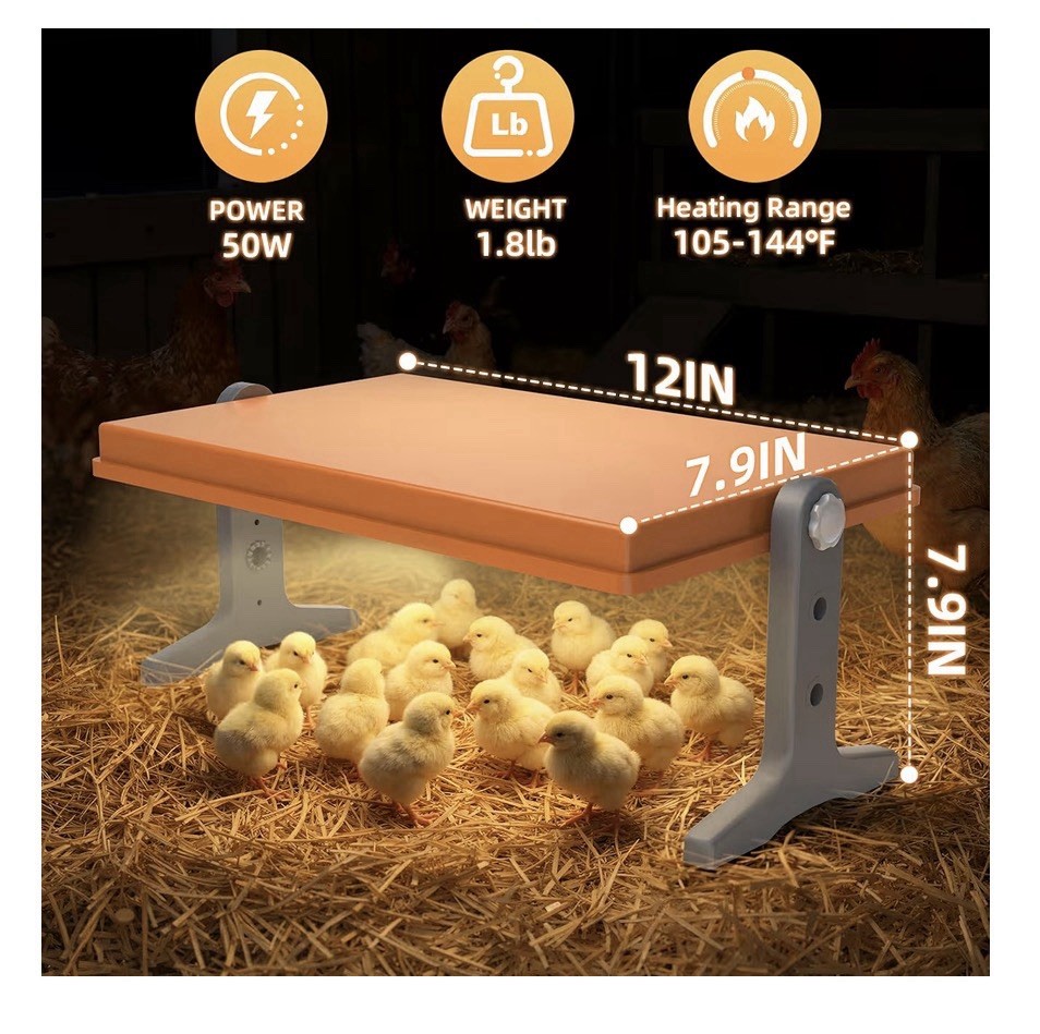 Chick Brooder Heater Plate 12x8 Inches. Adjustable Height And Temperature 🐣 New