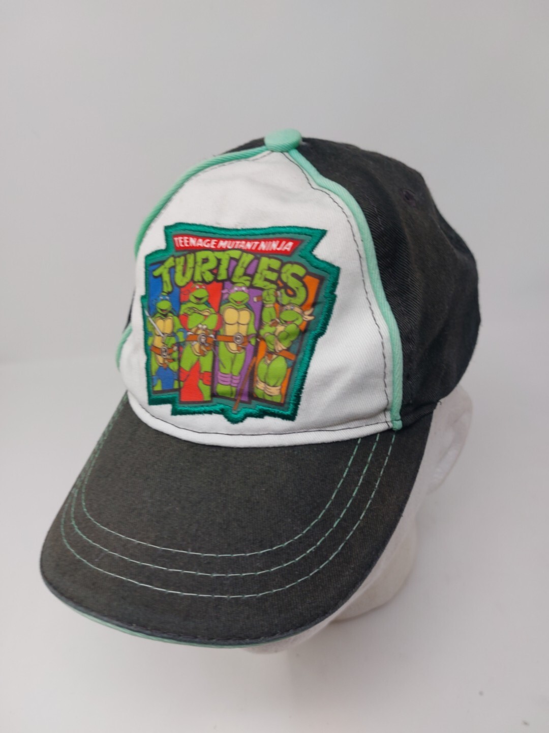 TMNT Teenage Mutant Ninja Turtles Youth Strap back Hat Nickelodeon 2015 Cap