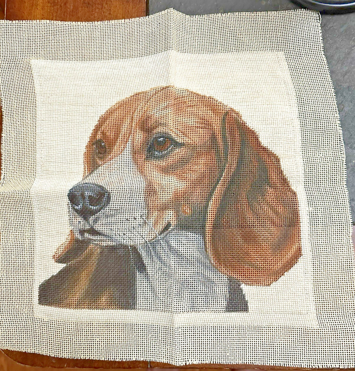 Vintage needlepoint canvas BEAGLE  10.5" x 10.5"  14 HPI started - no threads