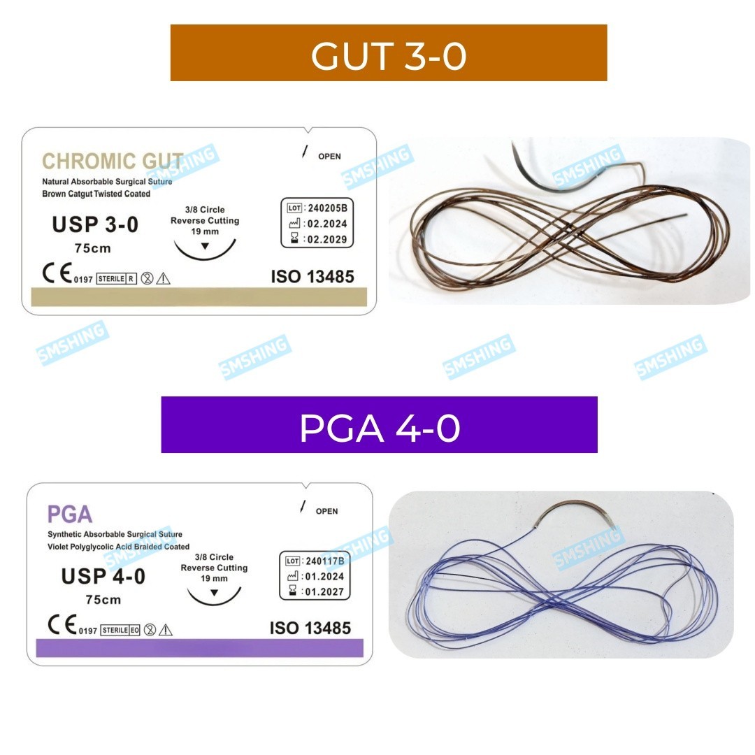 Absorbable CHROMIC Dental Oral Natural GUT 3/0 PGA 4/0