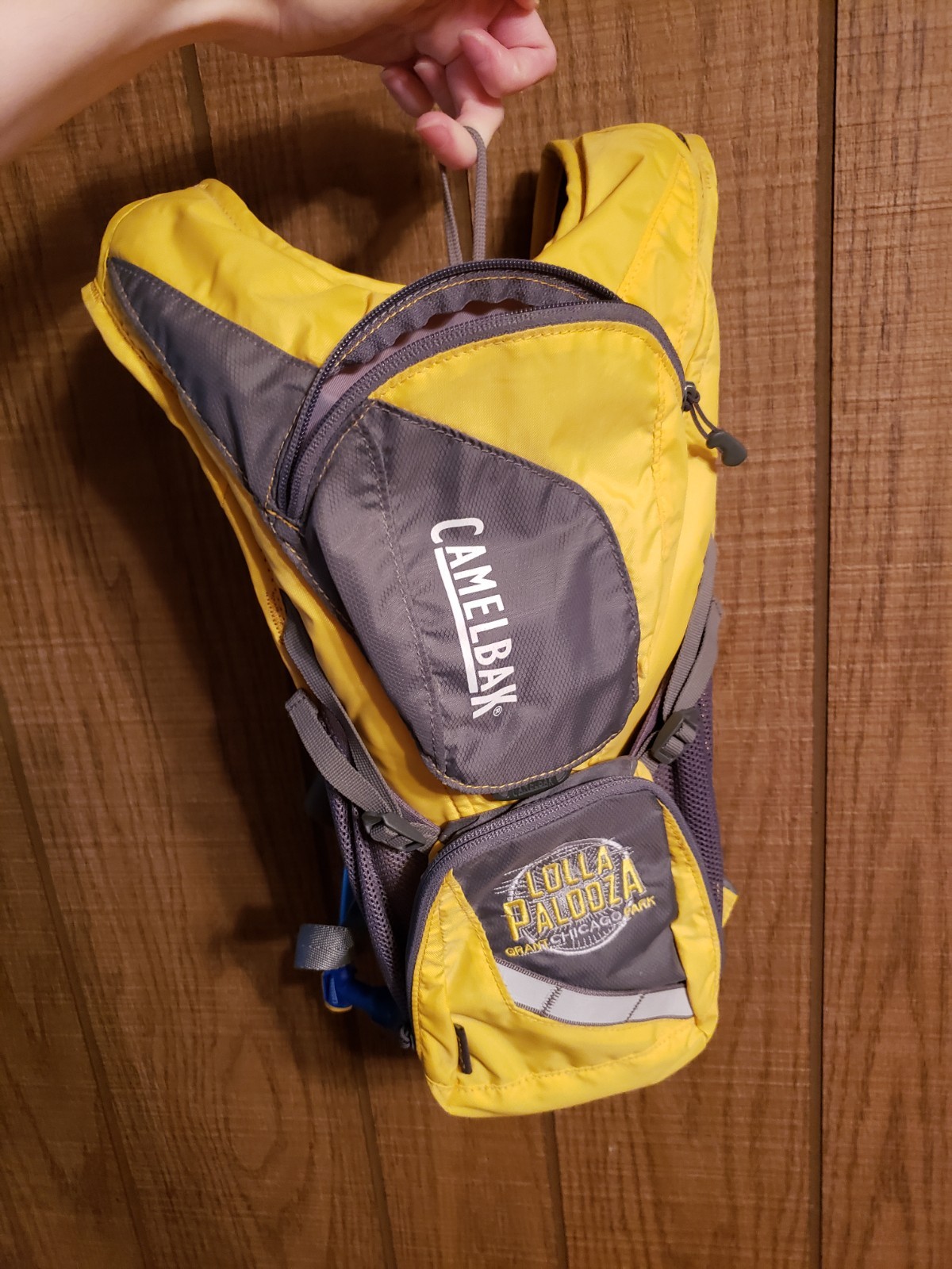 CamelBak Rogue Backpack 2L Reservoir - Special Lollapalooza 2012  Edition