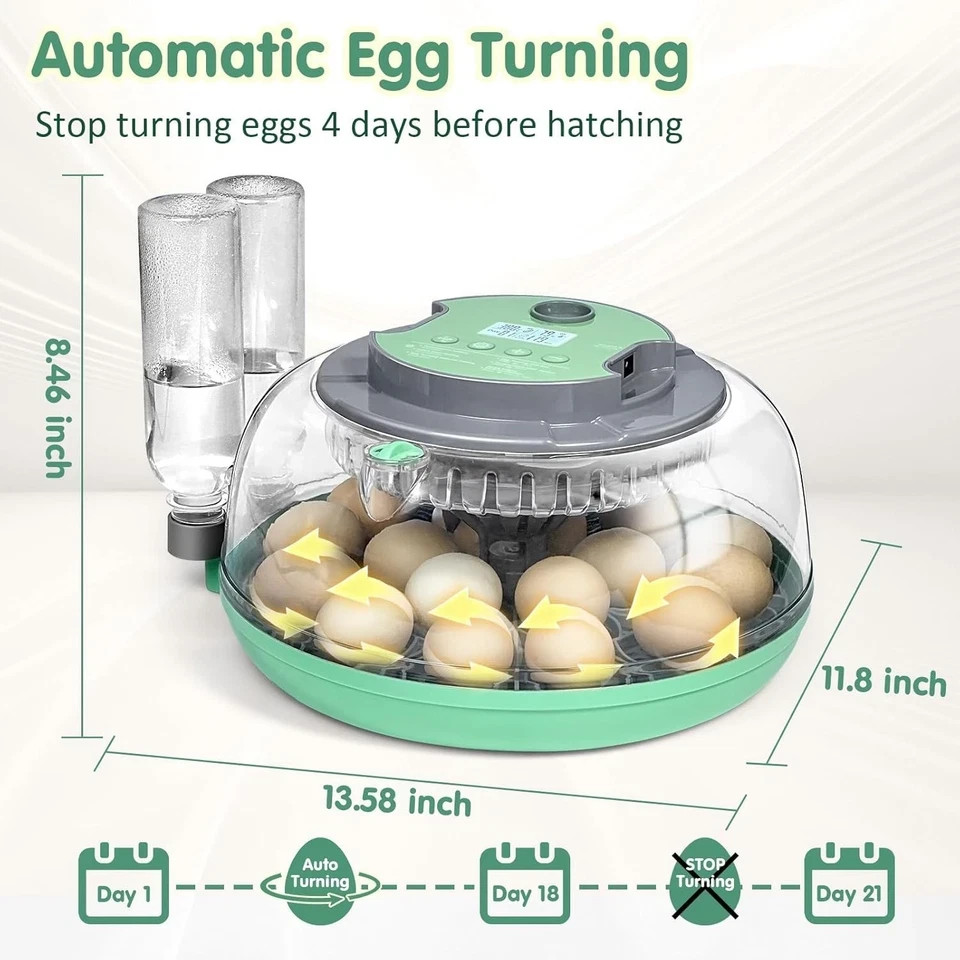 Incubators for Hatching Eggs,18 Egg Incubator with Automatic Egg Turning and ...