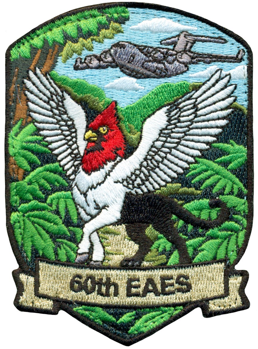 USAF 60th EXPEDITIONARY AEROMEDICAL EVACUATION SQUADRON C-17 PATCH