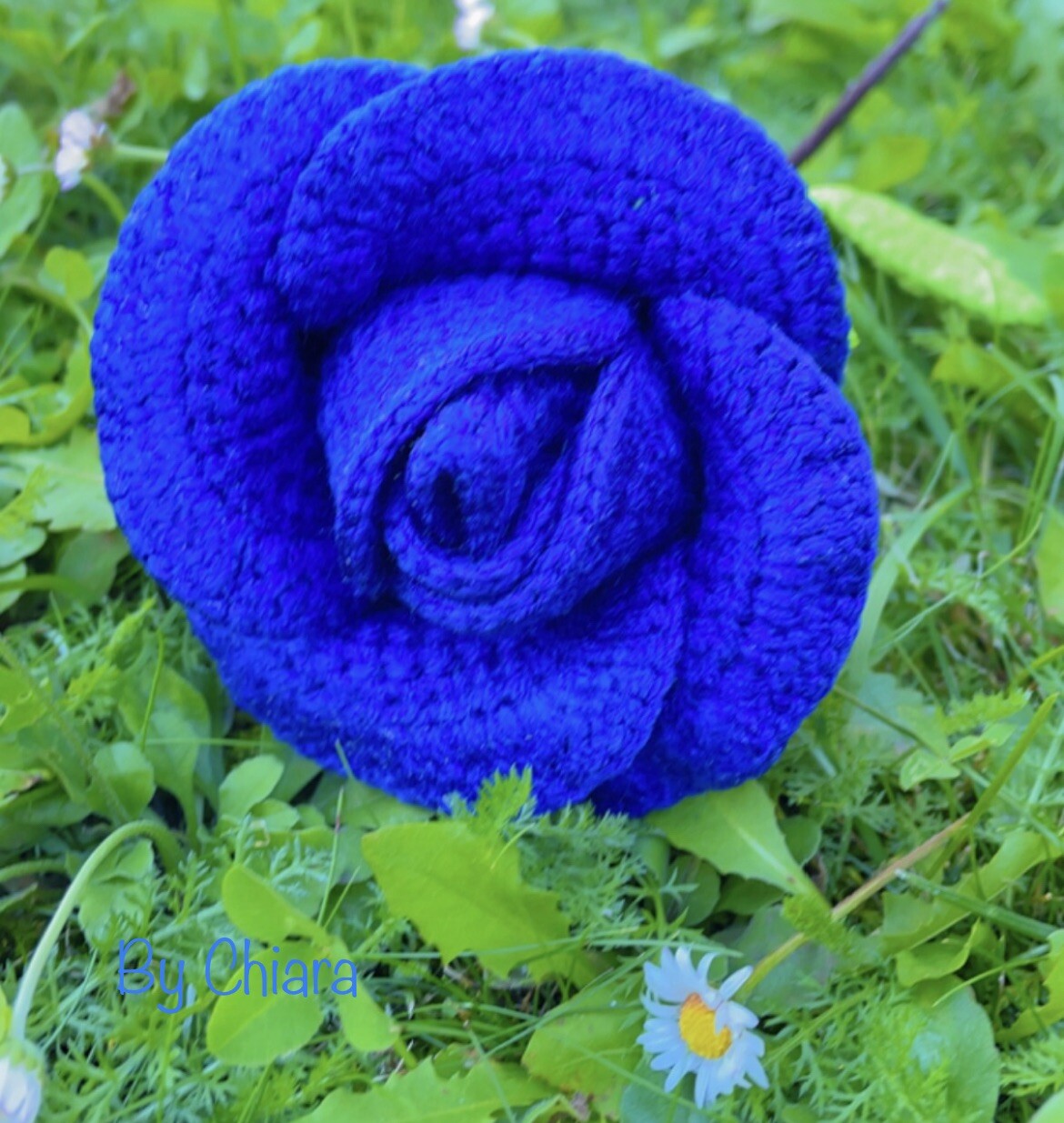 Rose Crochet