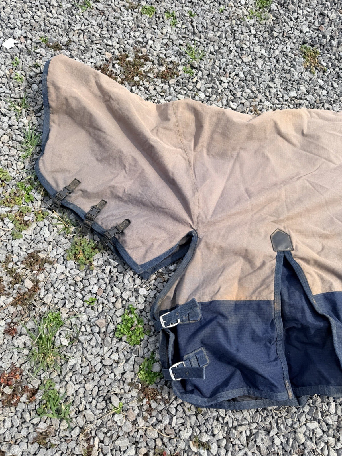 Saxon High Neck Turnout Blanket Size 78”