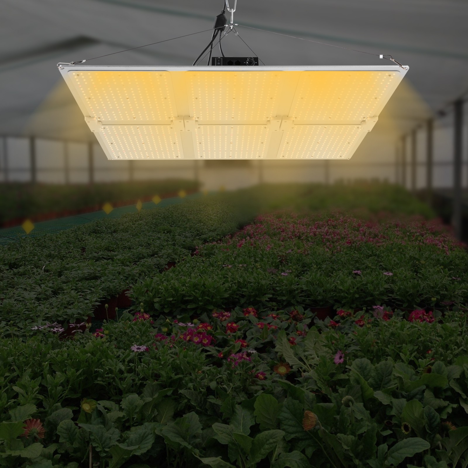 600w LED Grow Lights Panel Sunlike Full Spectrum For Indoor Plants Flowers IP65.