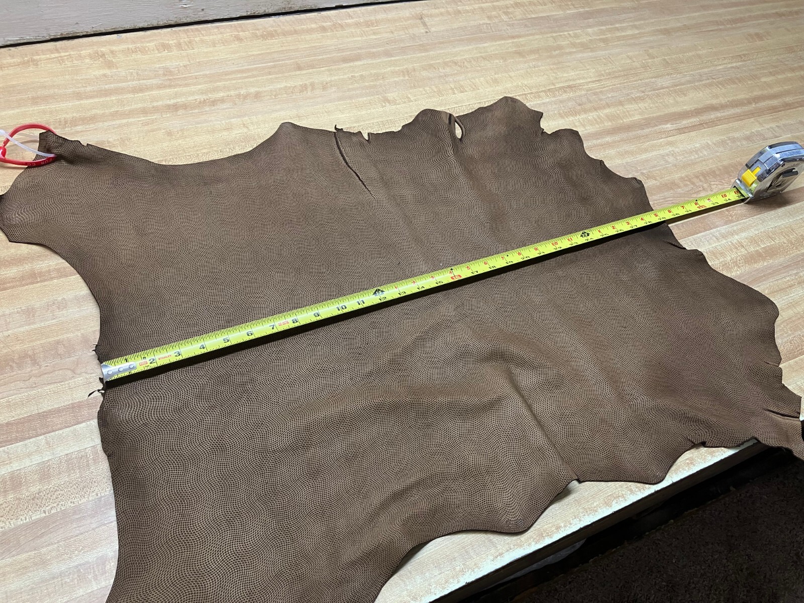 Embossed Goat Leather #0018205 Row 152