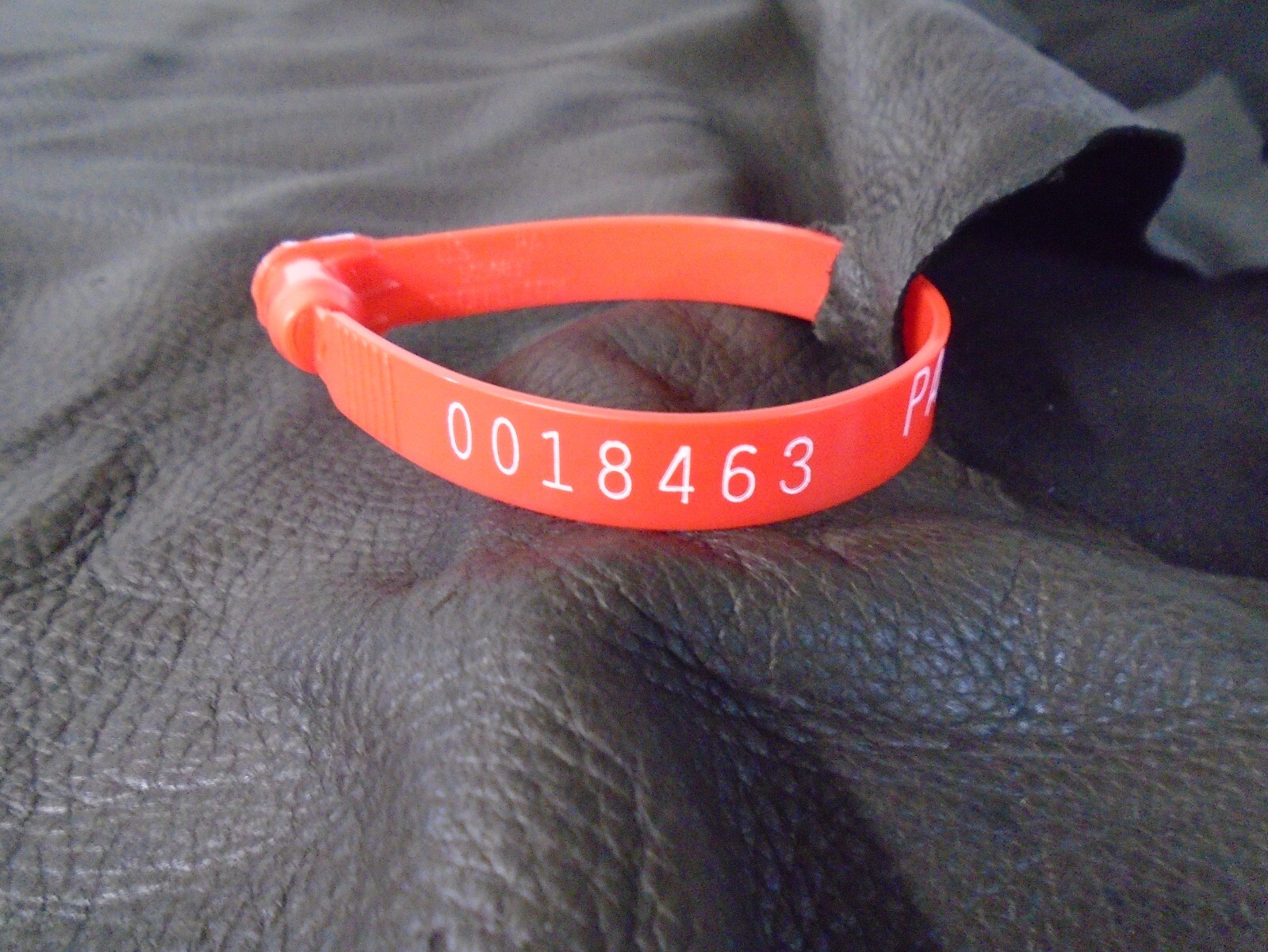 Top Grain Deer Leather # 0018463 Row WW