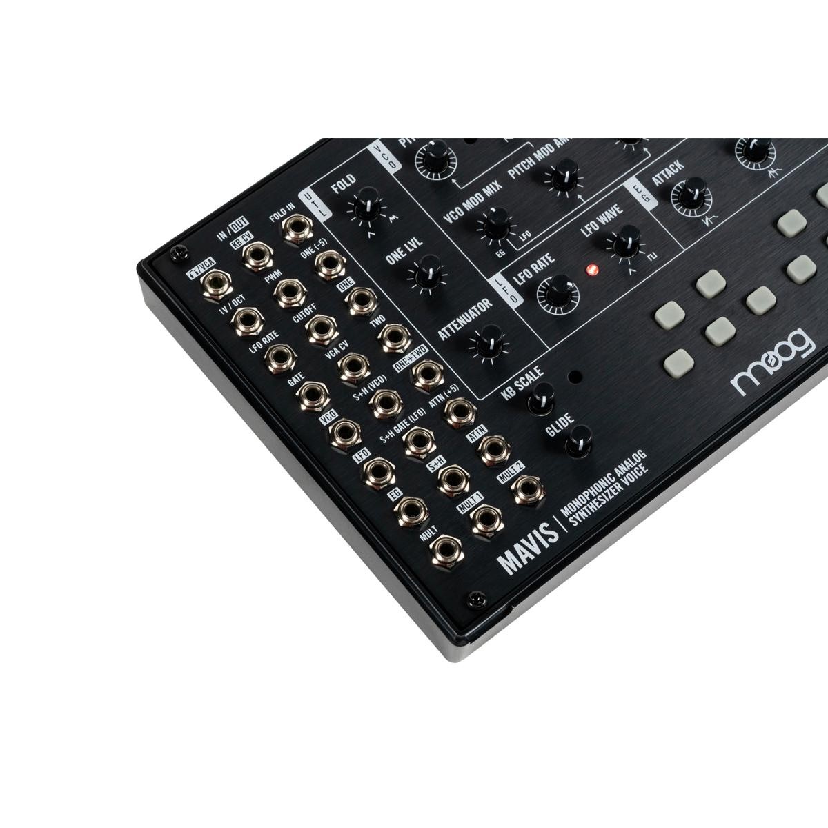 Moog Mavis Synthesizer Kit