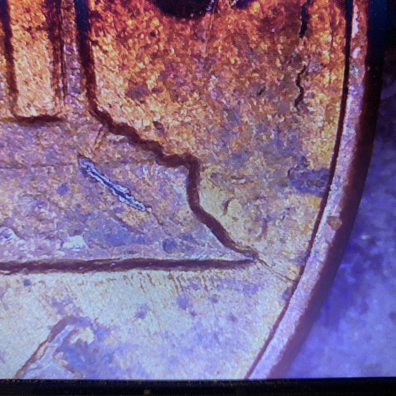 🔥1985 Lincoln Cent Has Doubling and Die Crack On Reverse🔥