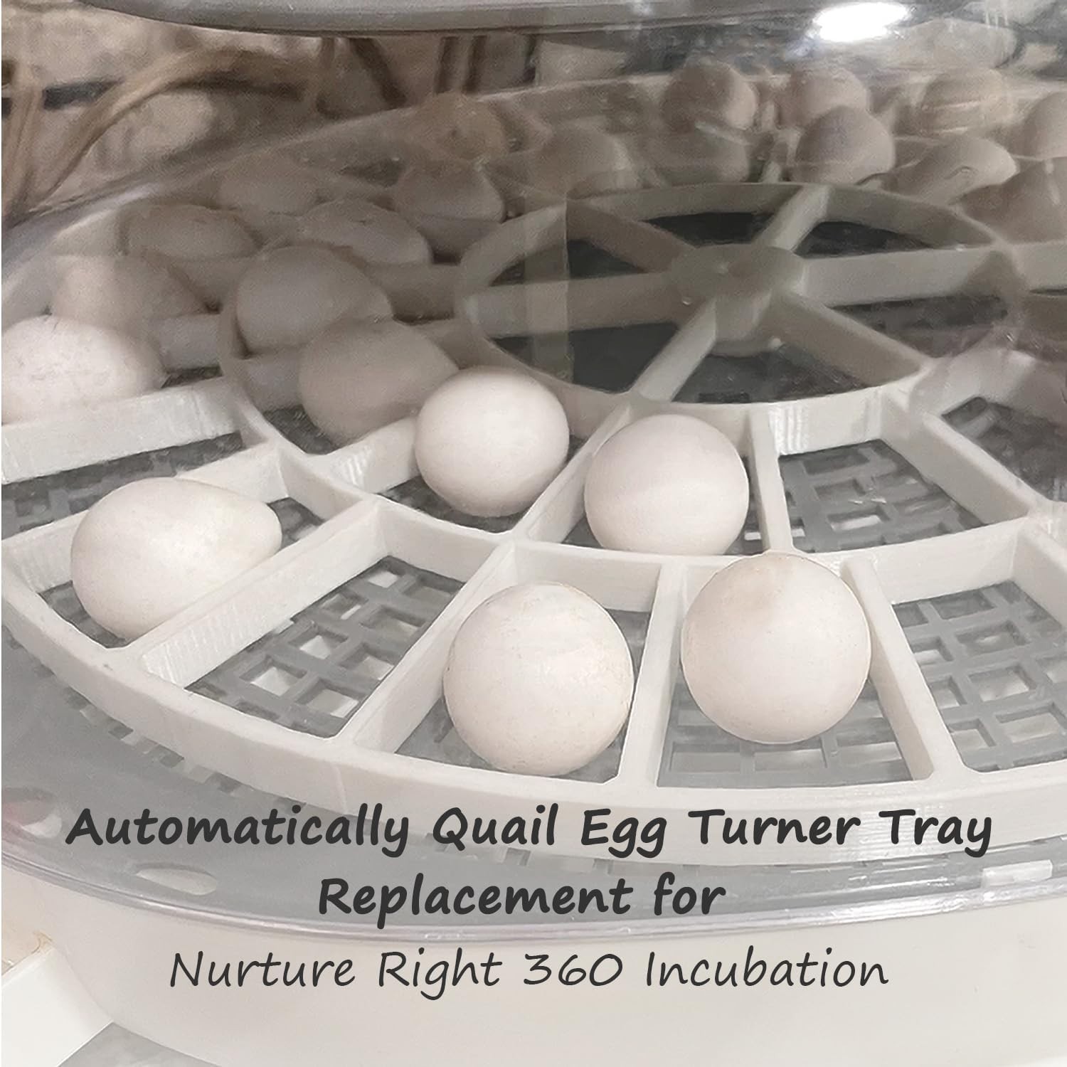 Resilient Egg Turner Tray Replacement for Consistent Hatching Success - Easy Use