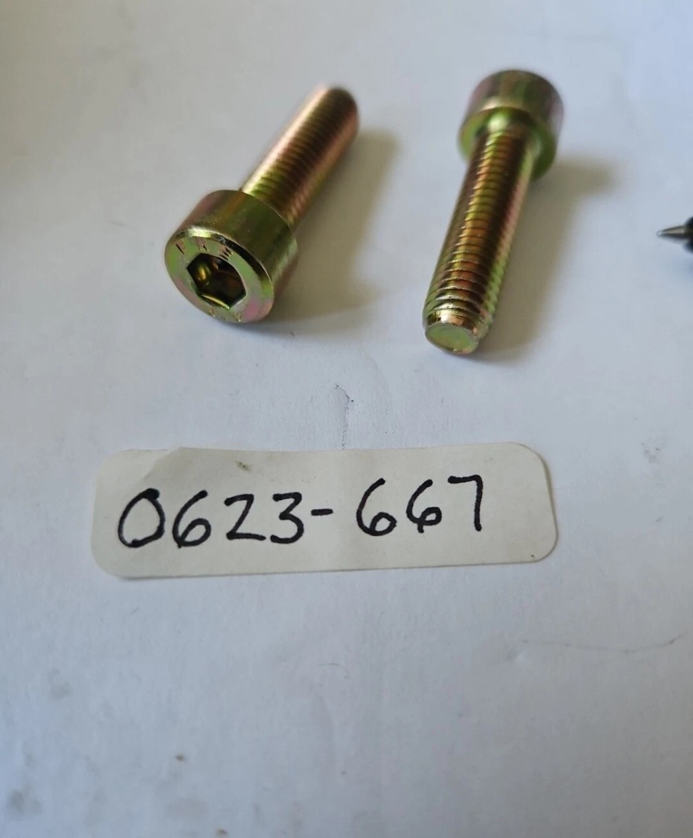 Artic Cat 0623-667 2Qty Screws NOS OEM AC31