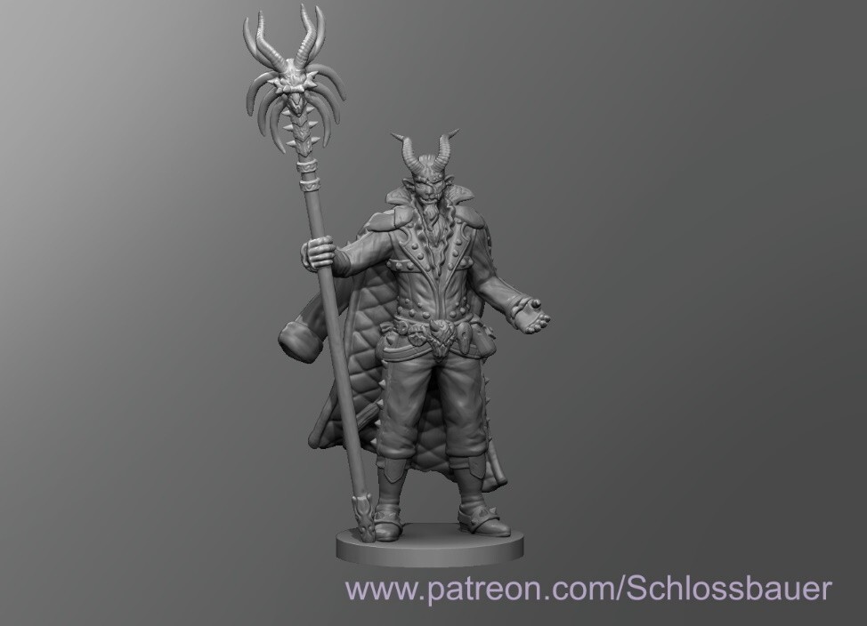 Shifter Warlock Wizard Sorcerer NPC 28mm Scale DND D&D Miniature SB