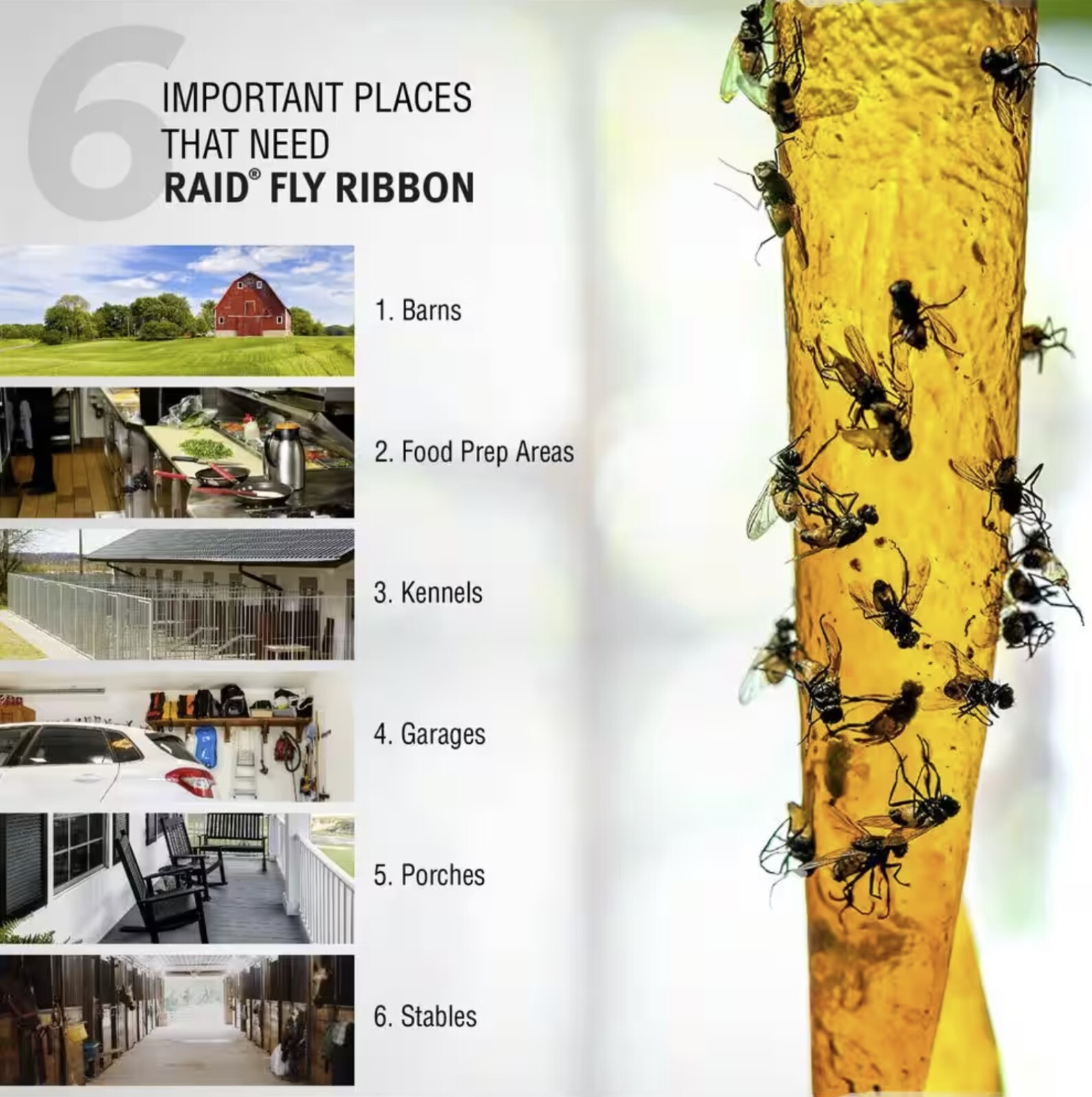 Raid FR10B-RAID 10 Count Fly & Insect Catcher Ribbons