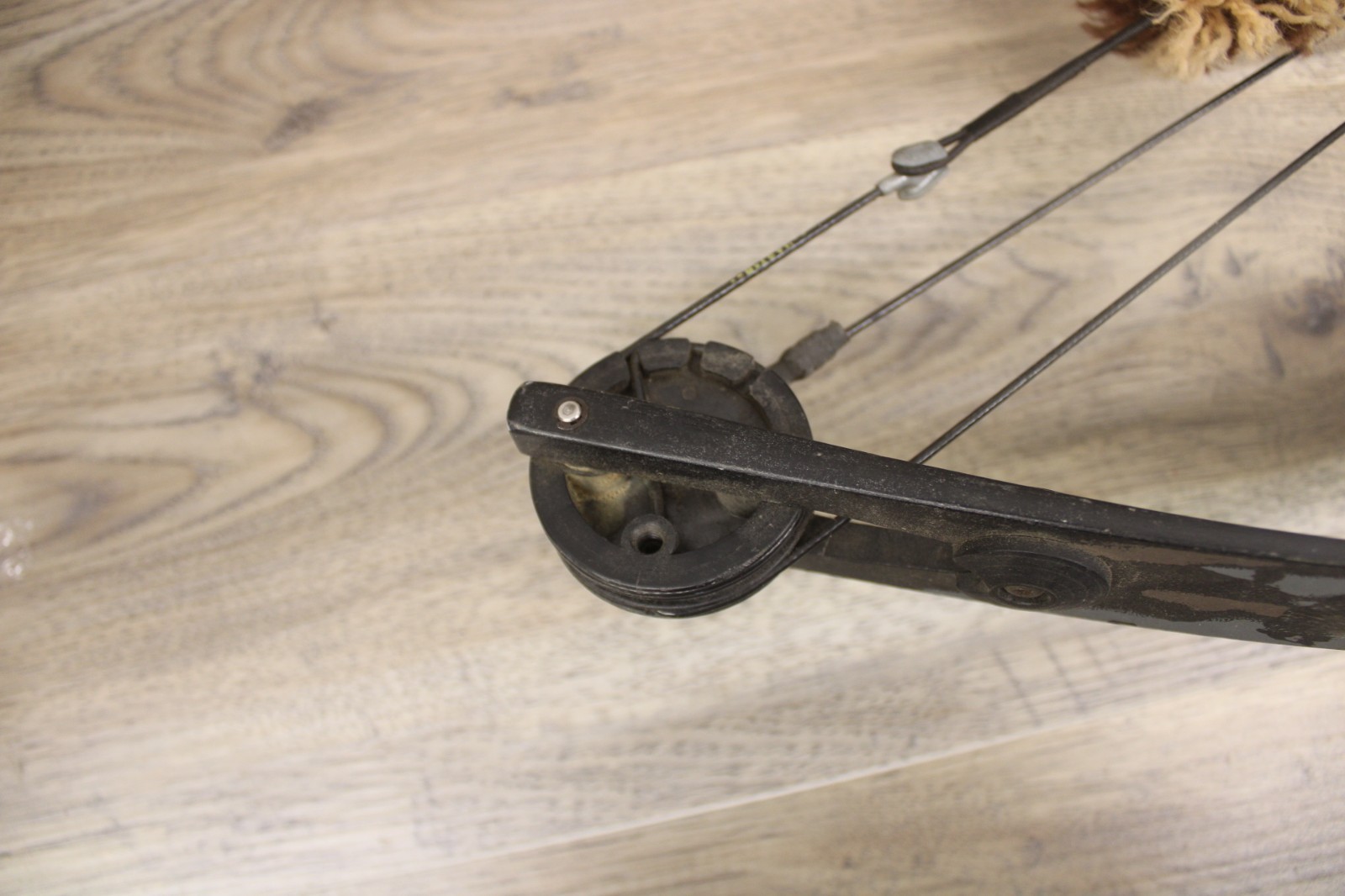 Martin Compound Bow