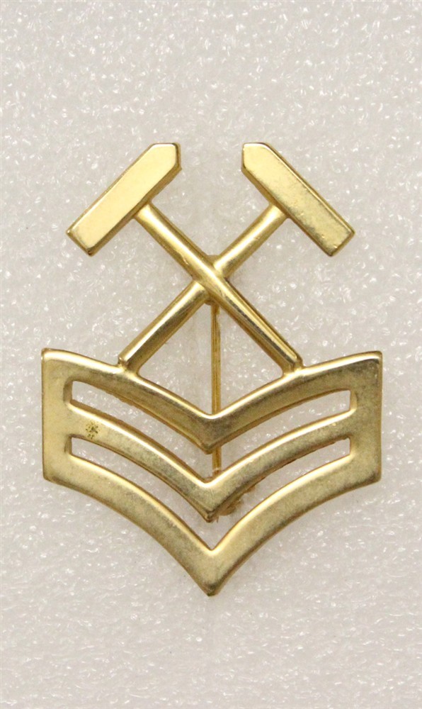 Cap Badge 702: U.S. Navy PO-1, Metalsmith - p/b, GEMSCO, gilt