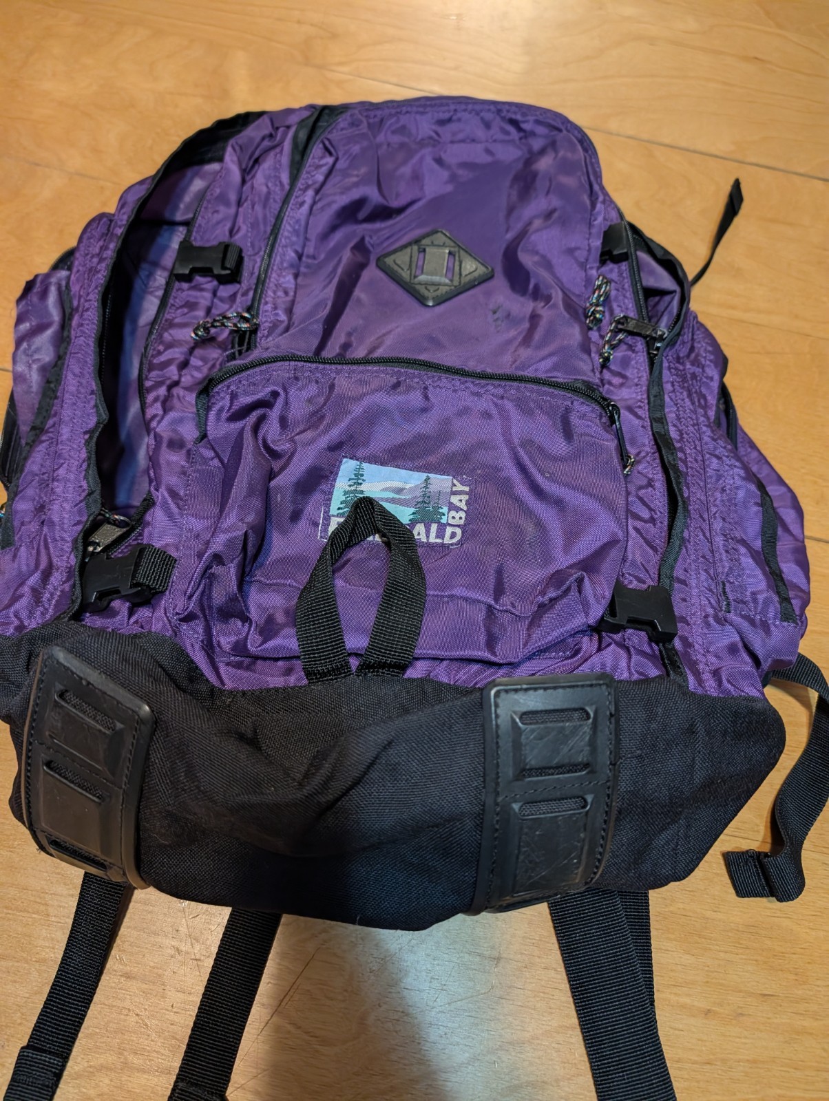 Emerald Bay Hiking Backpack With Removable Metal Braces
