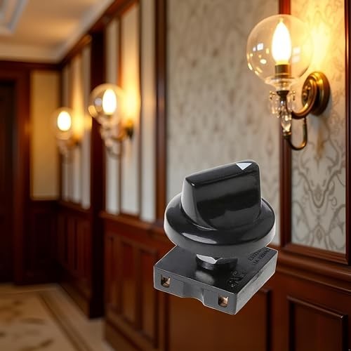 Rotary Switch 4 Position 3 Speed Selector Switch Governor with Button Fan