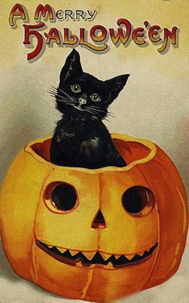 Halloween # 16 - 8 x 10 Tee Shirt Iron On Transfer cat in pumpkin