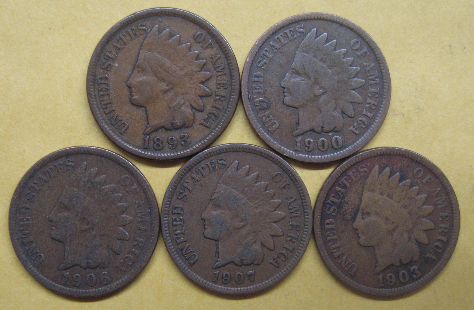 Five Indian Pennies with Five Different Dates--ALL in Good+ Take a Look
