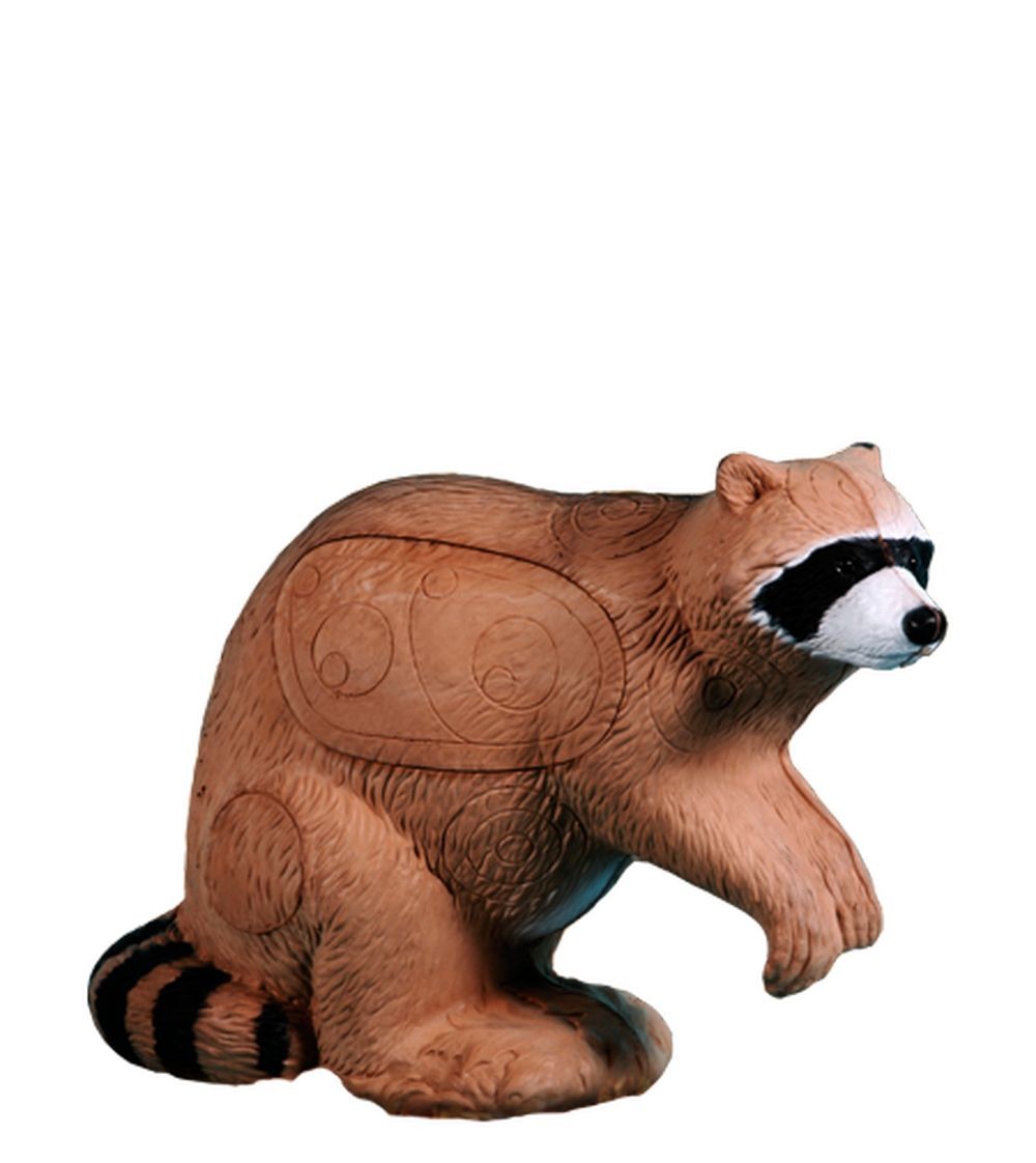 Rinehart Competition Series Raccoon Archery Hunting Target - ASA