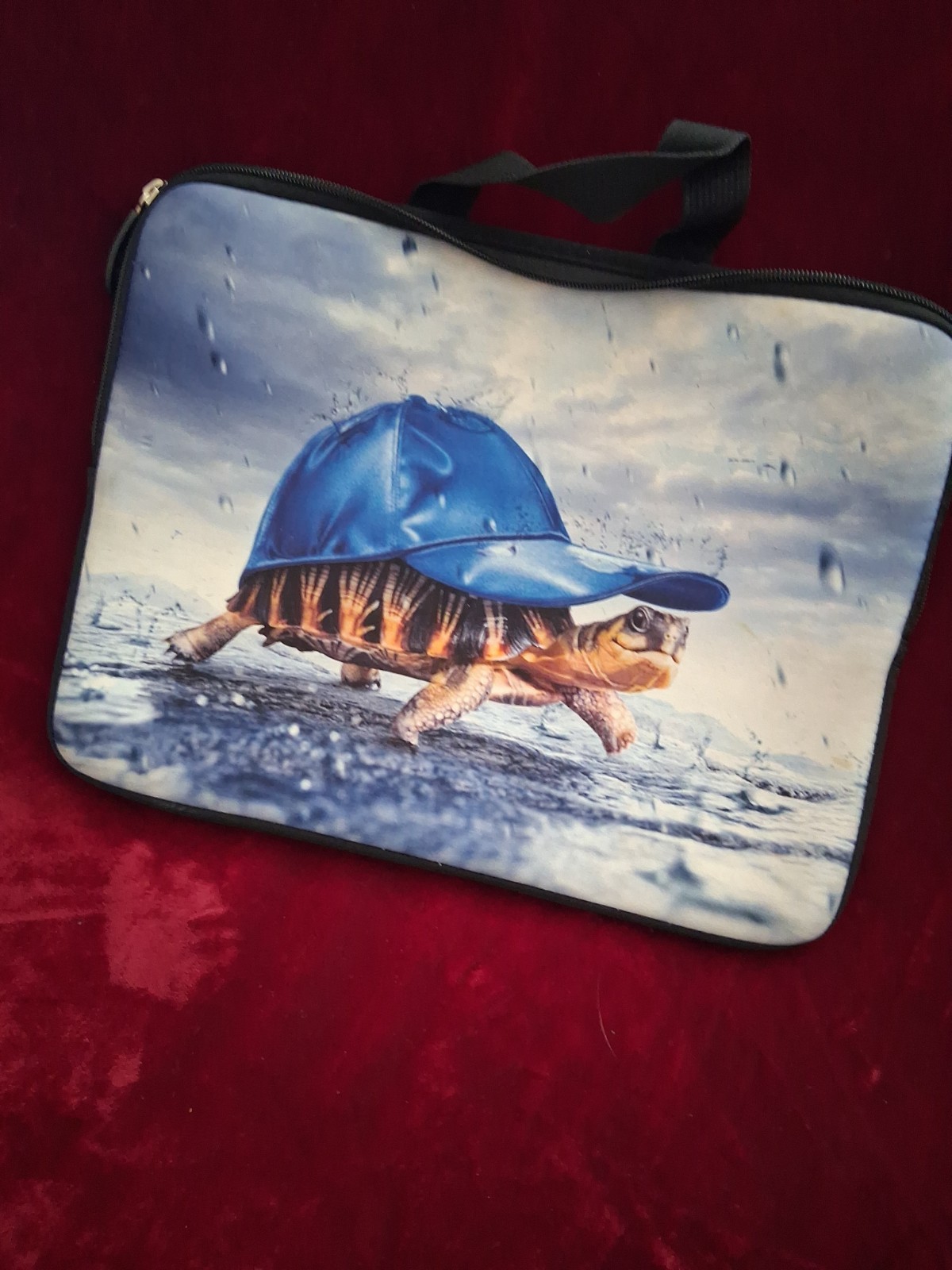 Turtle Table Protector Carrier Cute Turtle Under Hat