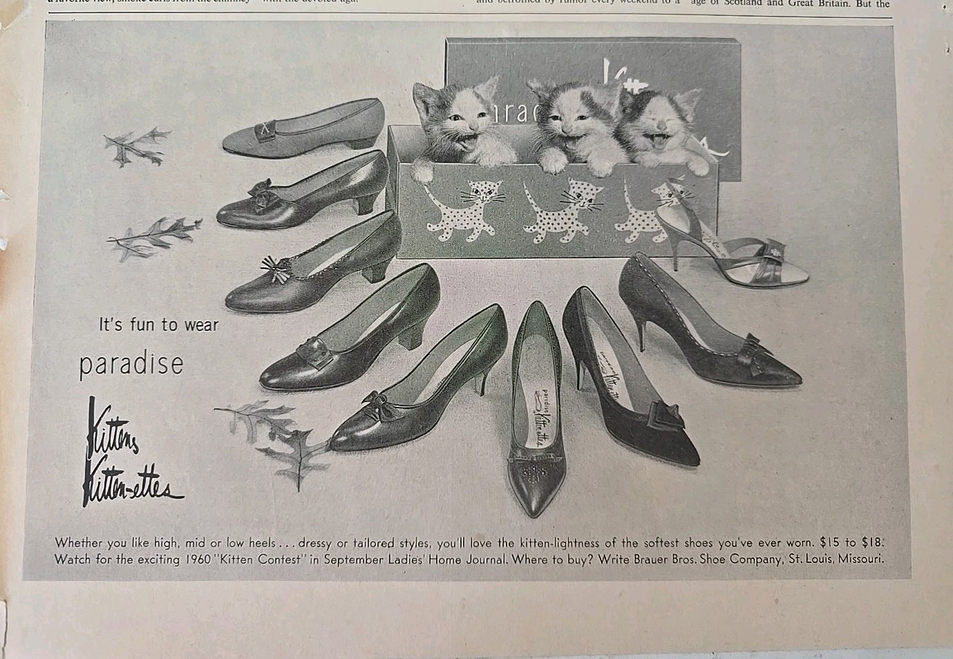 Vintage Paradise Kittens Kitten-ettes Womens Shoes Fashion ad