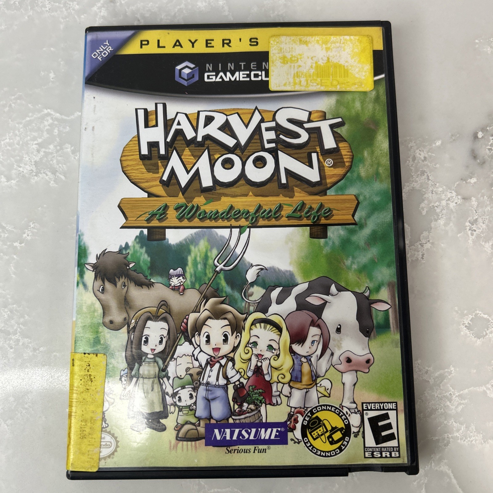 Harvest Moon: A Wonderful Life (Nintendo GameCube) CASE ONLY NO GAME NO MANUAL