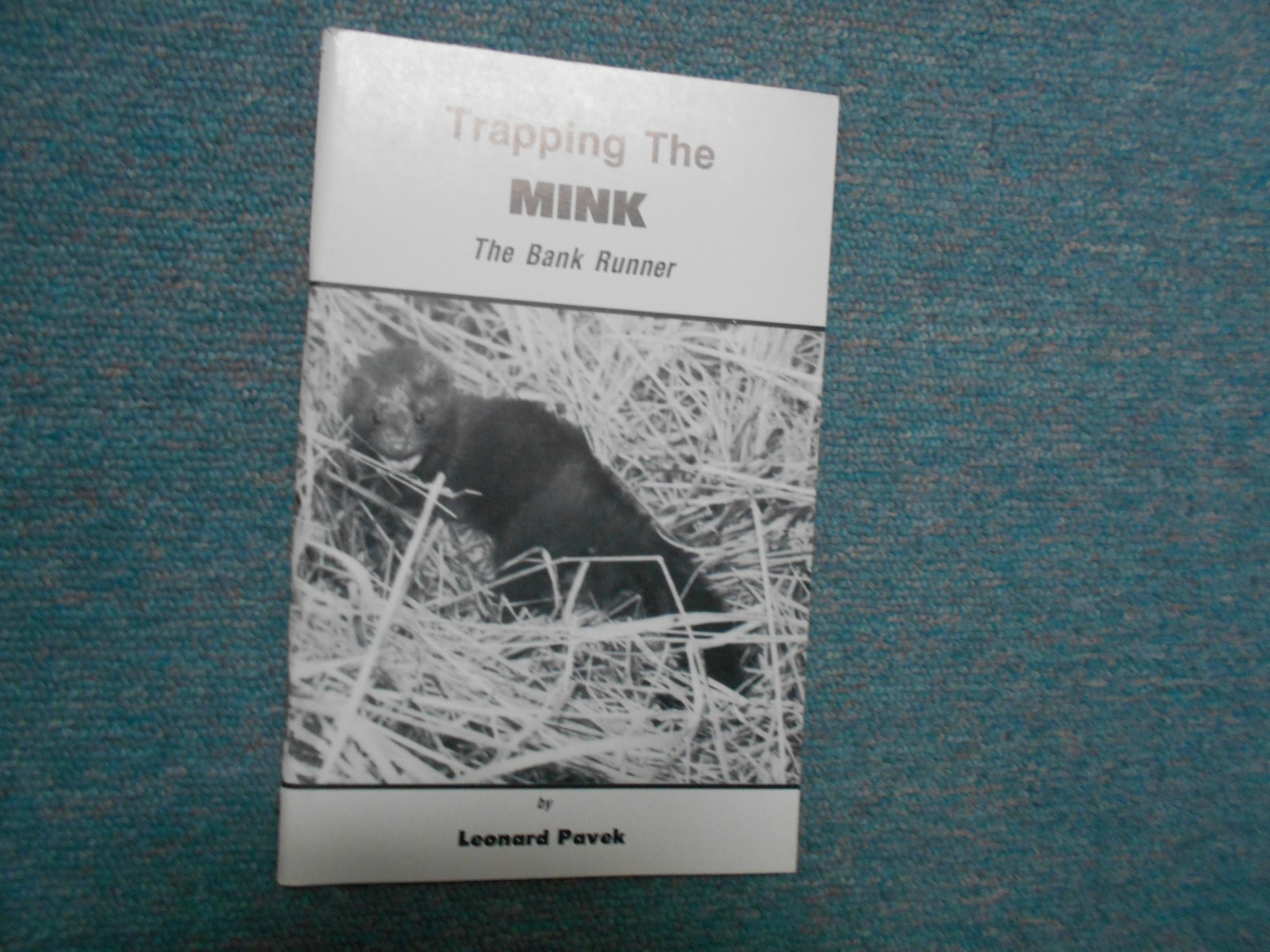 TRAPPING THE MINK (THE BANK RUNNER), TRAPPER