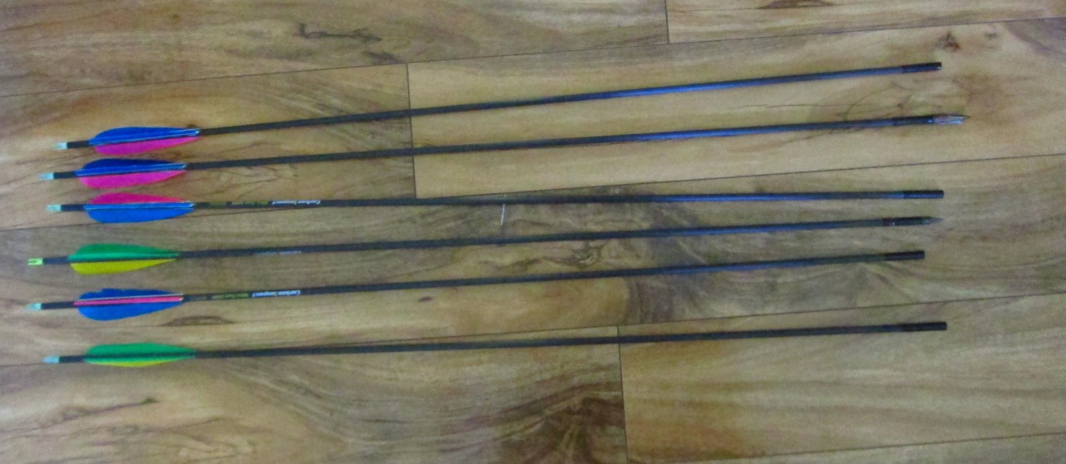 CARBON IMPACT ULTRA FAST 6500 ARROWS 6 Pk- No tips- NICE!