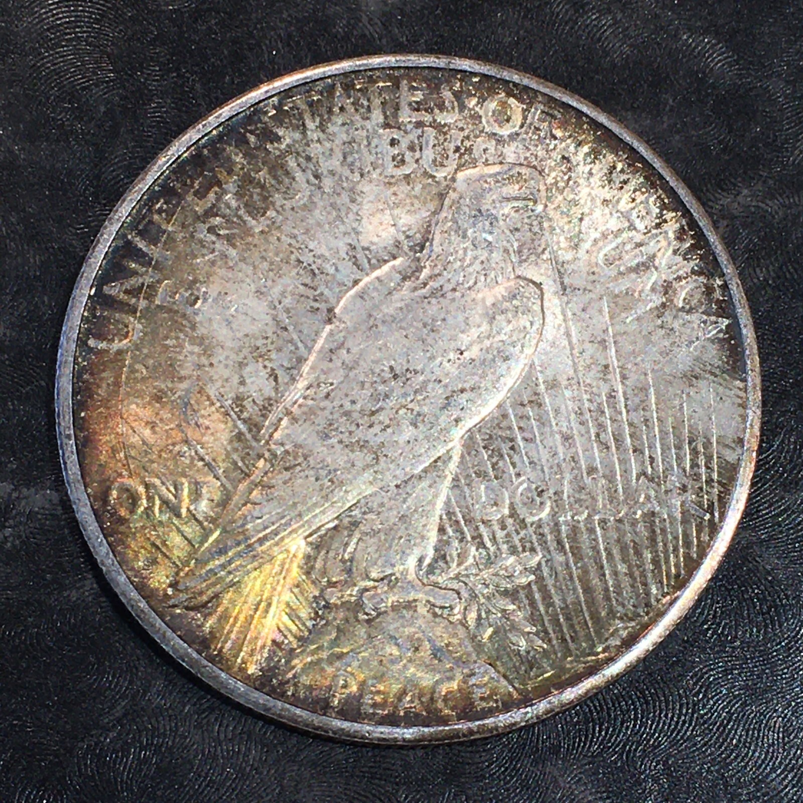1923-S Peace Silver Dollar - High Quality Scans #N784