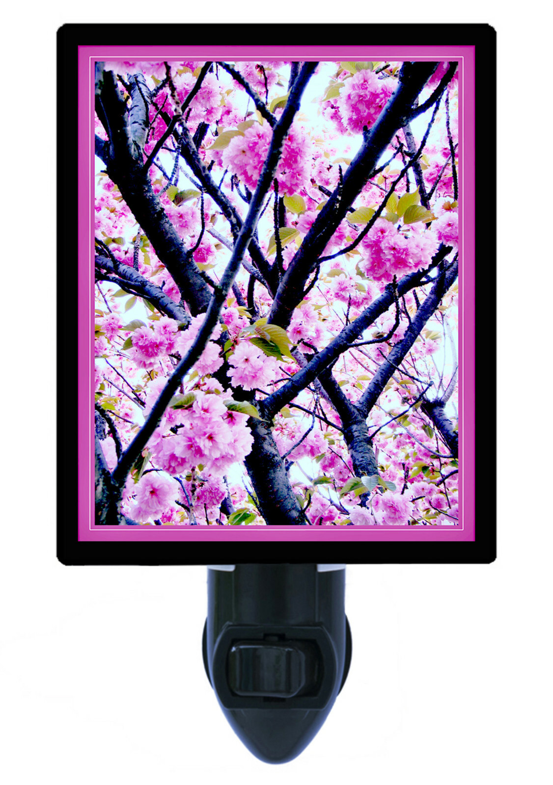 Spring Decorative Photo Night Light, Cherry Blossoms