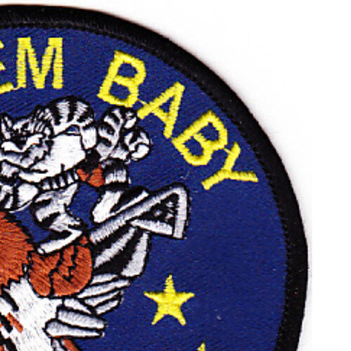 VAW-116 Patch Sic Em Baby Hawkeye
