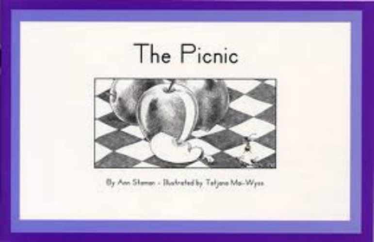 The Picnic (Handprints, C, Set 1) - Paperback, by Ann Staman - Very Good