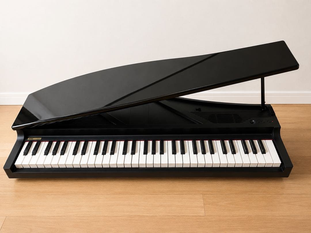 Korg microPIANO keyboard piano electric digital  grand 61key USED