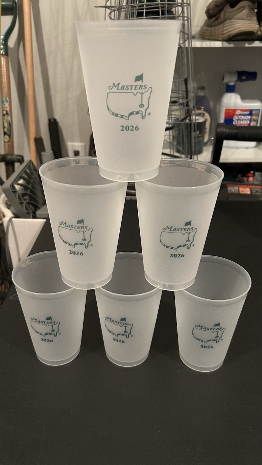 Masters Cups.  6 Dated 2026 FREE SHIPPING