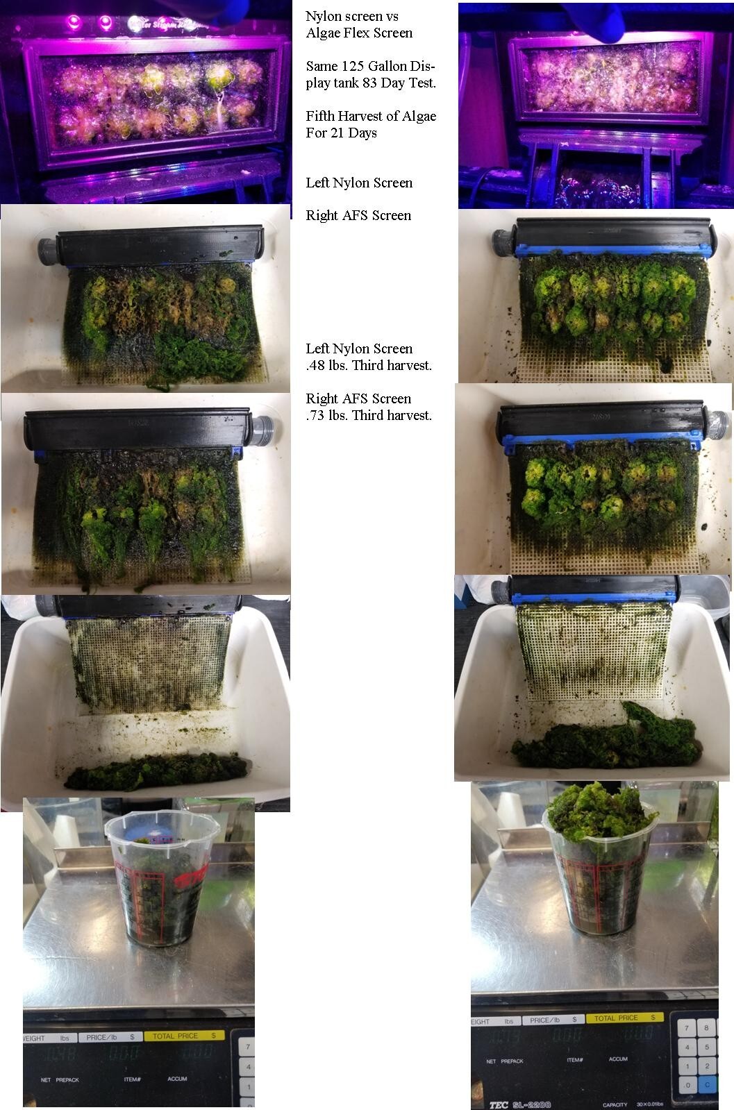 Algae Clean Scrubber Replacement WSR-S7 Algae Flex Screen.