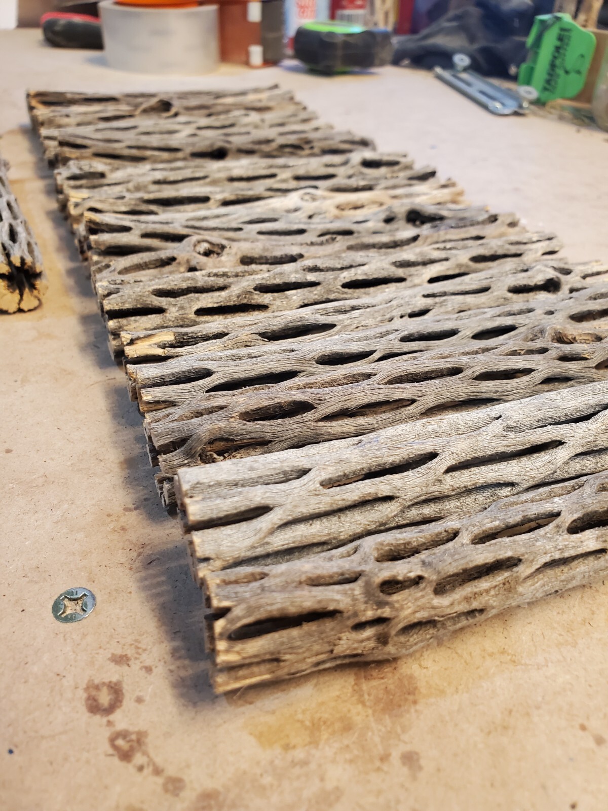 20 pcs 6" inch CHOLLA logs | Organic Cactus Wood | Shrimp Aquarium Decor | NICE!