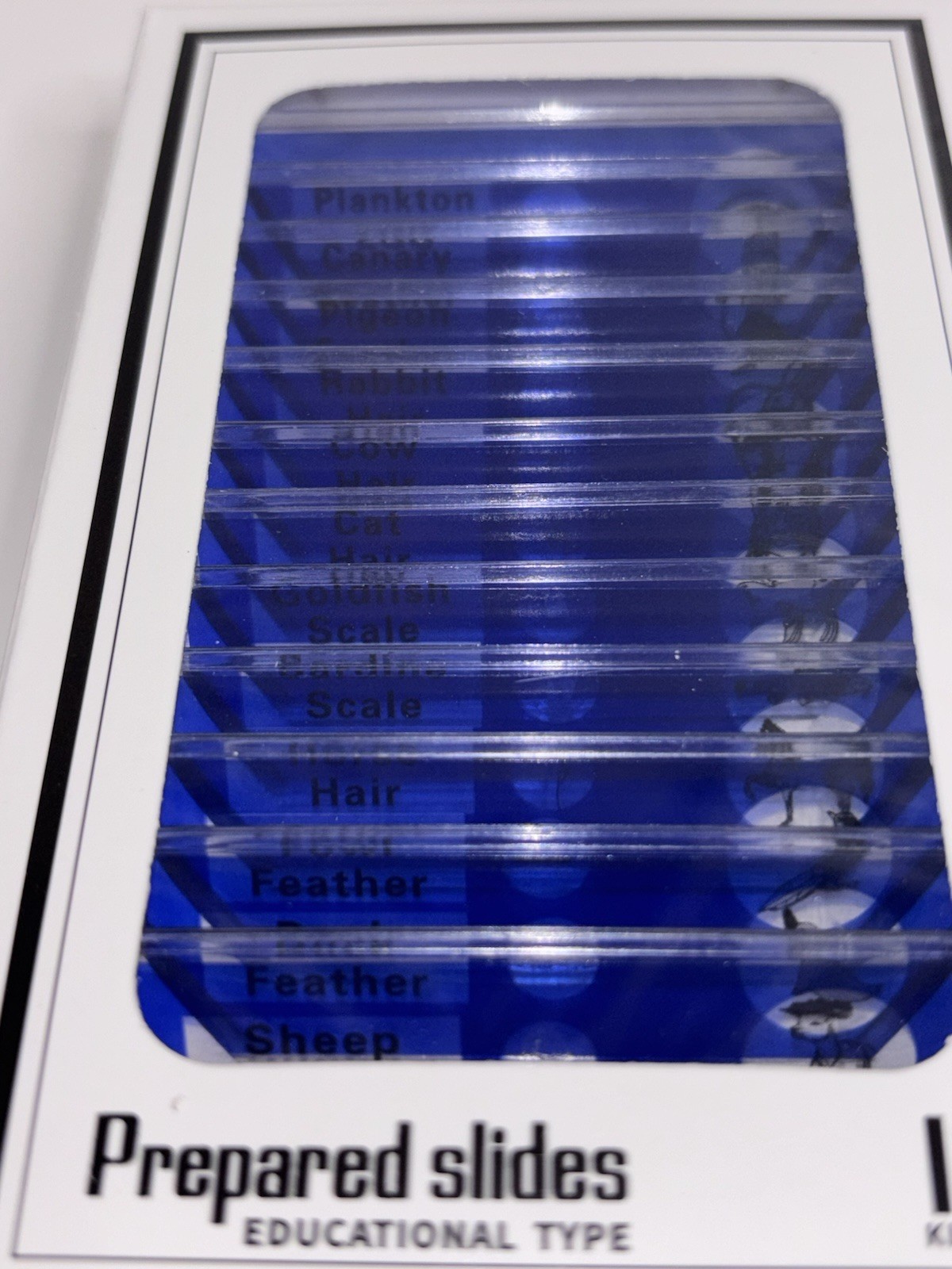 Lot of 4 DIY-SCIENCE Prepared Microscope Slides Educational Type 12 Kinds SEALED